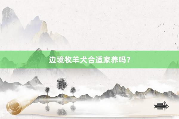 边境牧羊犬合适家养吗？